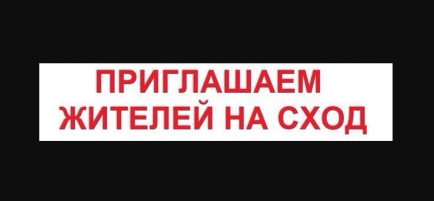Сход граждан.